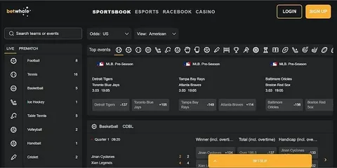 Best Online Betting Sites in UAE: A Complete Guide to Secure and Trusted Platforms
