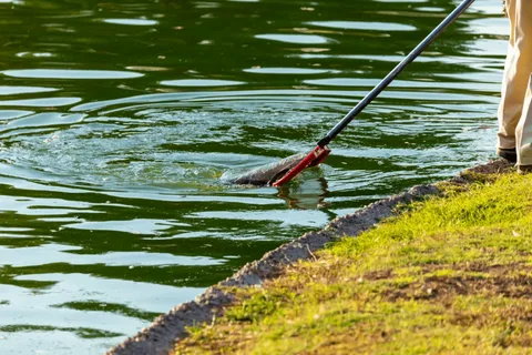 Pond Cleaning London: Keeping Your Garden Pond Healthy and Beautiful